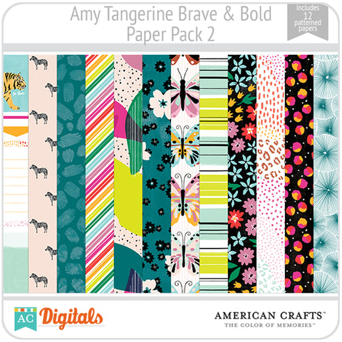 Amy Tangerine Brave & Bold Paper Pack 2