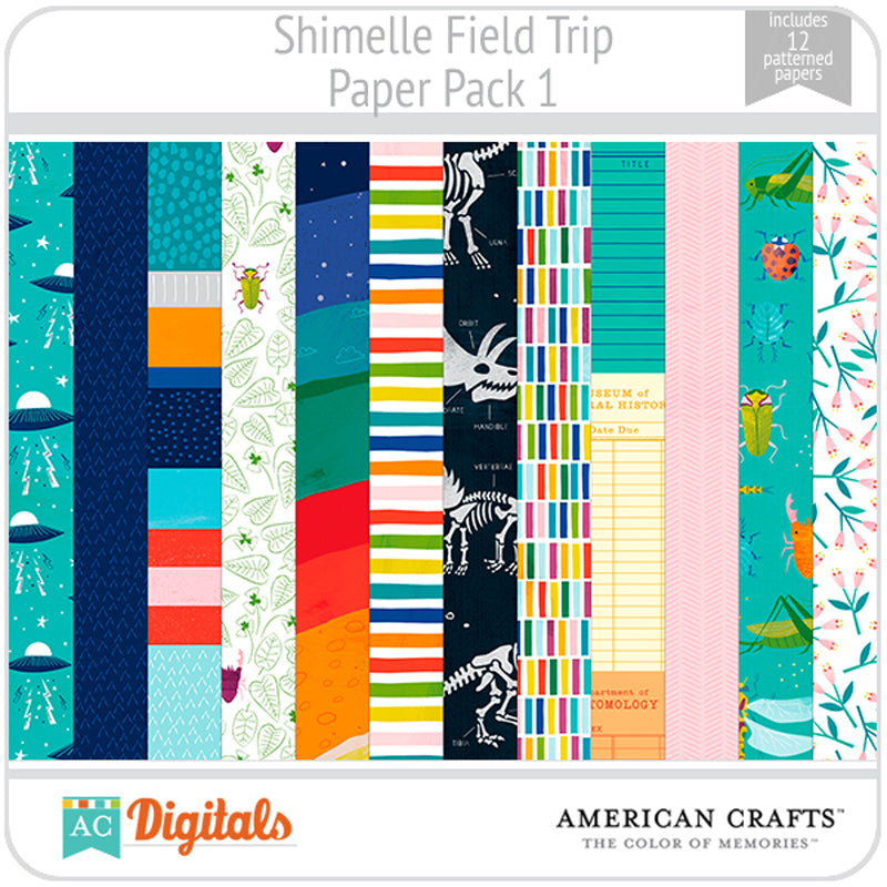 Field Trip Paper Pack 1