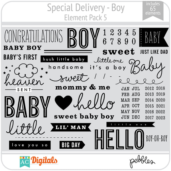 Special Delivery - Boy Element Pack 5