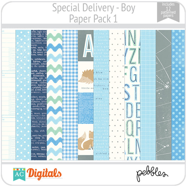 Special Delivery - Boy Paper Pack 1