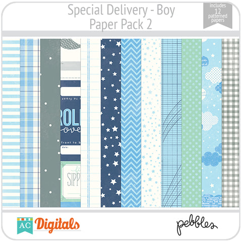 Special Delivery - Boy Paper Pack 2