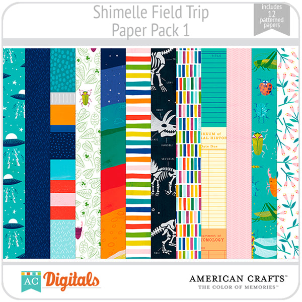 Field Trip Paper Pack 1