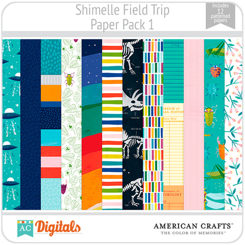 Field Trip Paper Pack 1