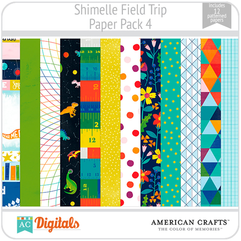 Field Trip Paper Pack 4