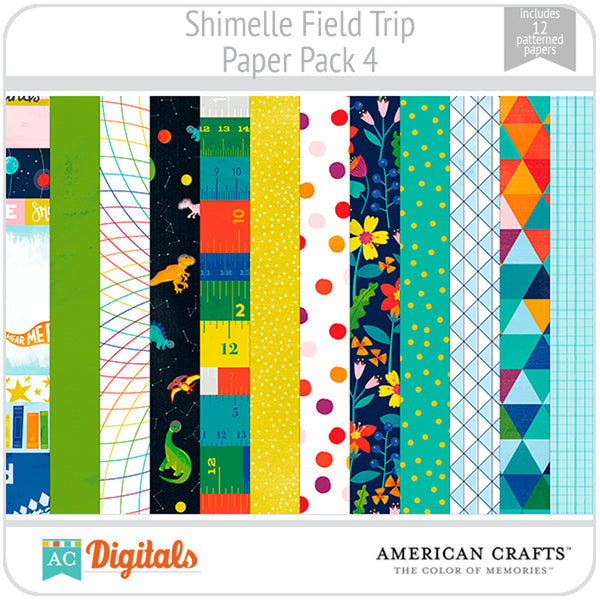 Field Trip Paper Pack 4