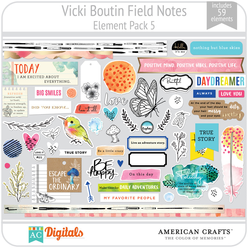 Field Notes  Line & Color Kit